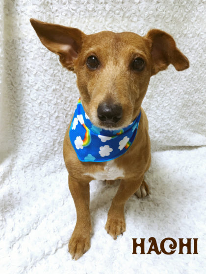 Processed with MOLDIV