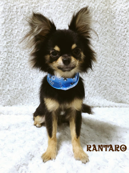 Processed with MOLDIV