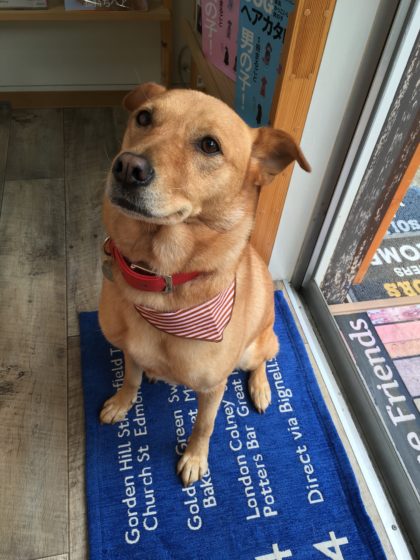 2016-09-23-15-46-44-hdr