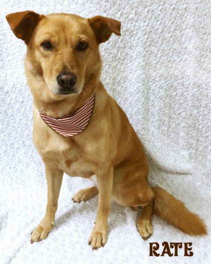 2016-09-23-15-55-20-2