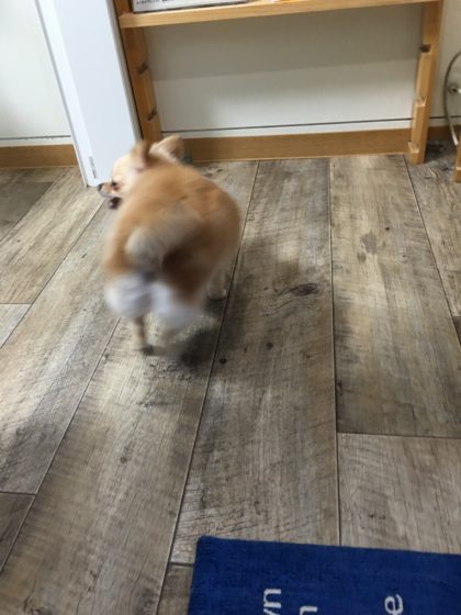 2016-09-23-17-51-23