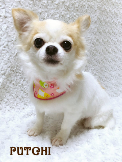 Processed with MOLDIV