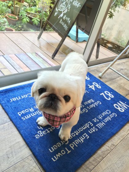 2016-09-26-14-00-39-hdr