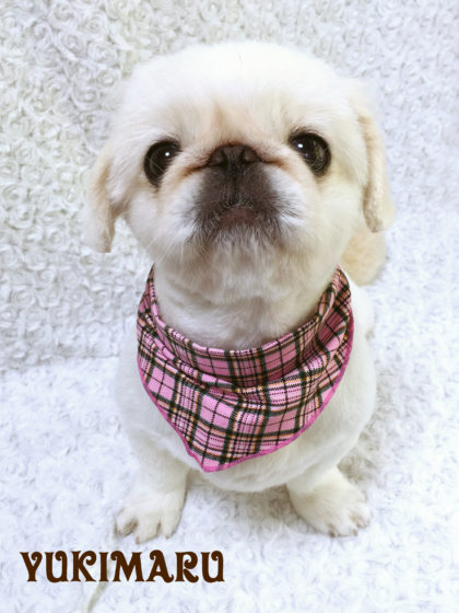 Processed with MOLDIV