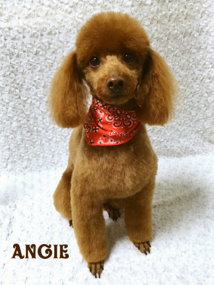 Processed with MOLDIV