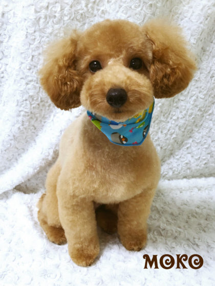 Processed with MOLDIV