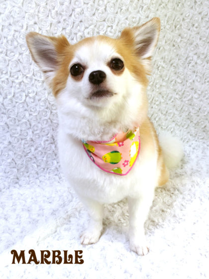 Processed with MOLDIV