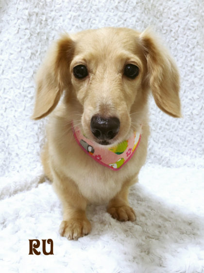 Processed with MOLDIV