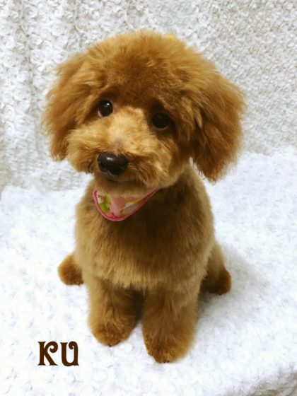 2016-09-30-17-47-02-2