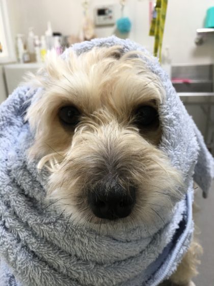 2016-10-04-14-37-35-1