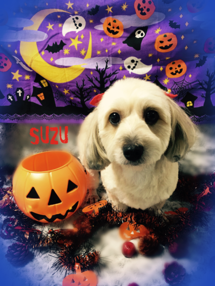 2016-10-04-17-27-53-2