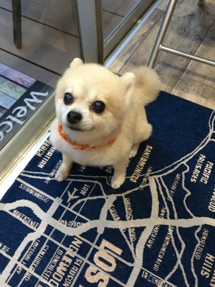 2016-10-04-17-36-33-1