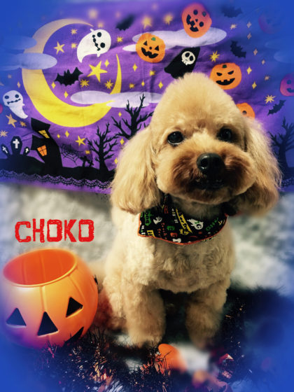 Processed with MOLDIV