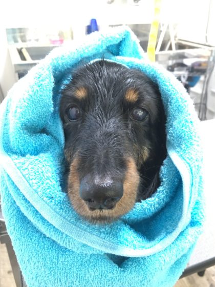 Processed with MOLDIV