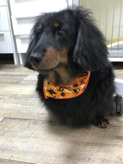 Processed with MOLDIV