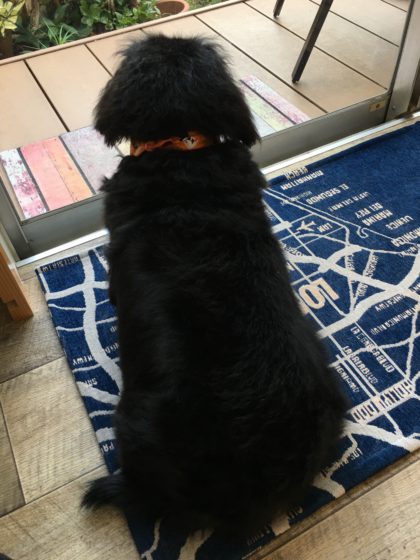 Processed with MOLDIV