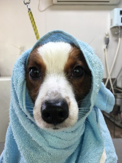 Processed with MOLDIV