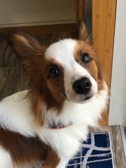 Processed with MOLDIV