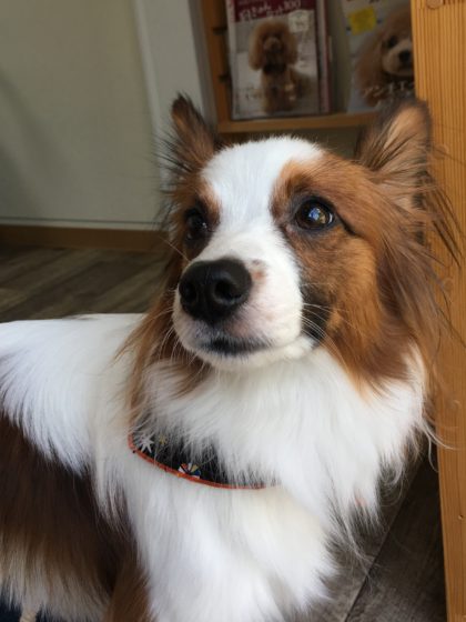 Processed with MOLDIV