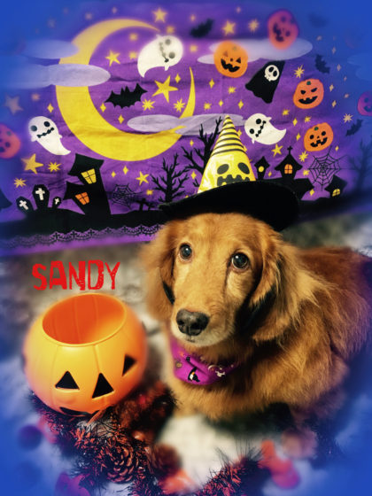 2016-10-18-20-10-56