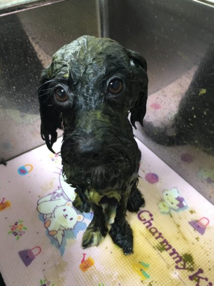 Processed with MOLDIV