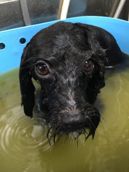 Processed with MOLDIV