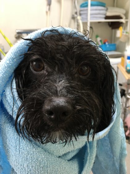 Processed with MOLDIV