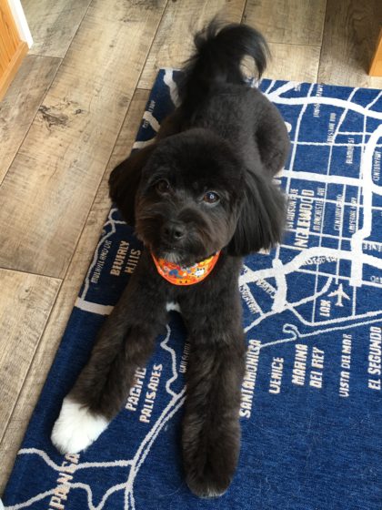 Processed with MOLDIV