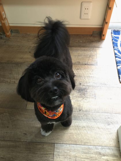 Processed with MOLDIV