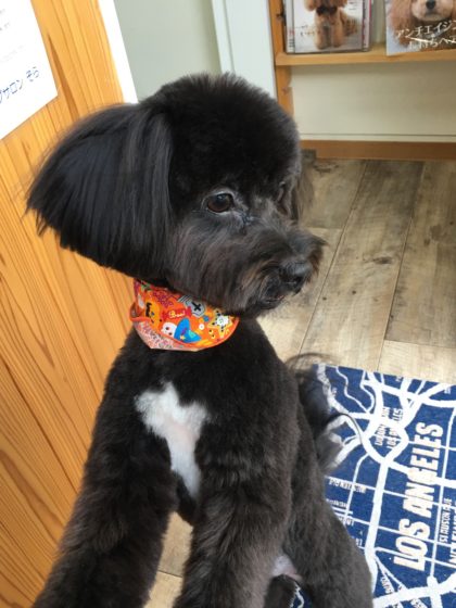 Processed with MOLDIV