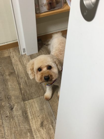 Processed with MOLDIV