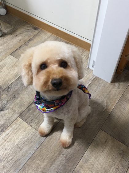 Processed with MOLDIV