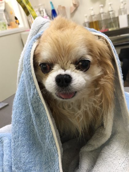 Processed with MOLDIV