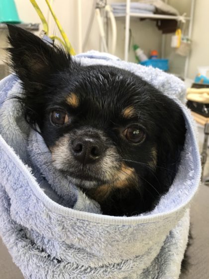 Processed with MOLDIV