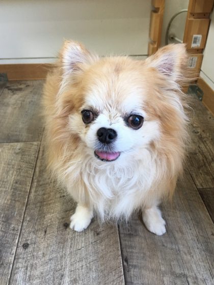 Processed with MOLDIV