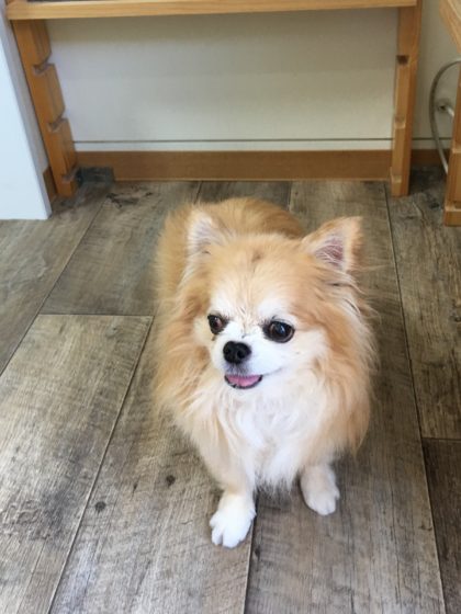 Processed with MOLDIV