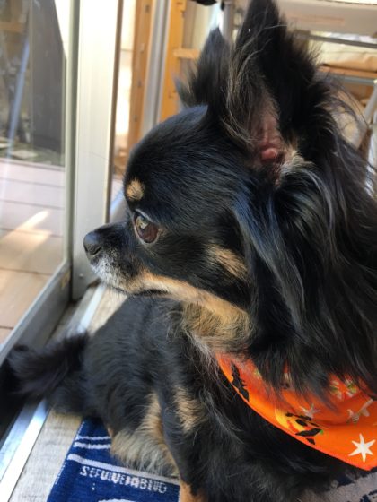 Processed with MOLDIV