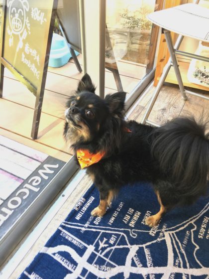 Processed with MOLDIV