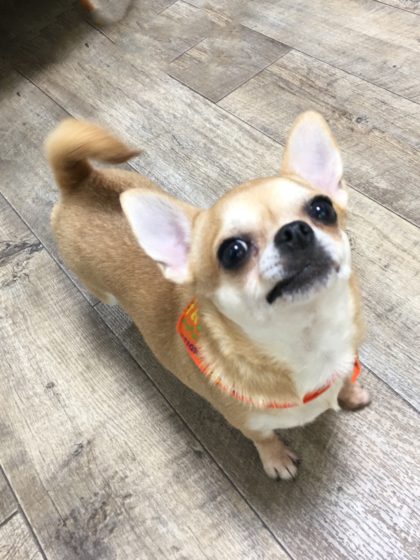 Processed with MOLDIV