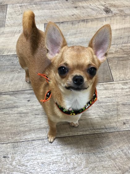 Processed with MOLDIV