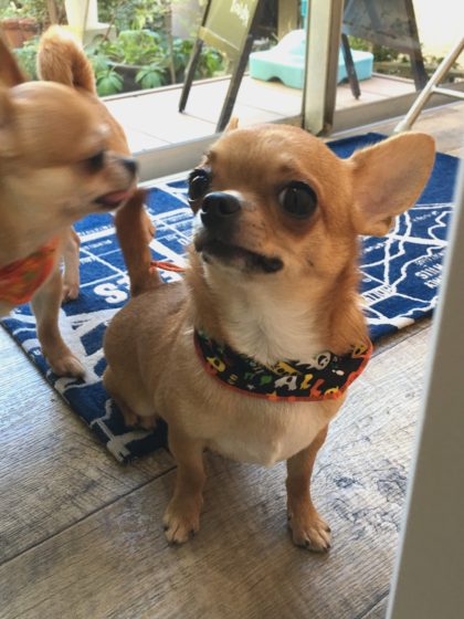 Processed with MOLDIV