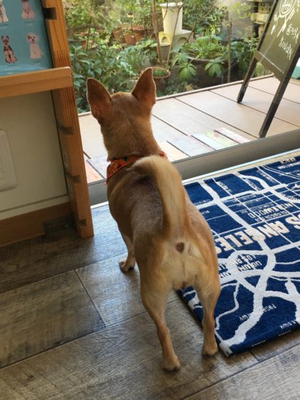 Processed with MOLDIV