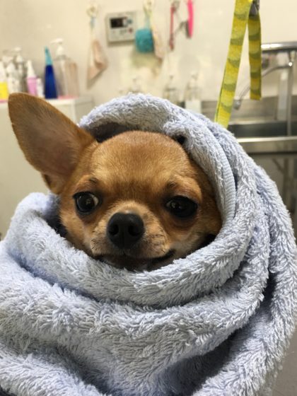 Processed with MOLDIV