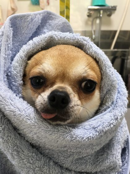 Processed with MOLDIV