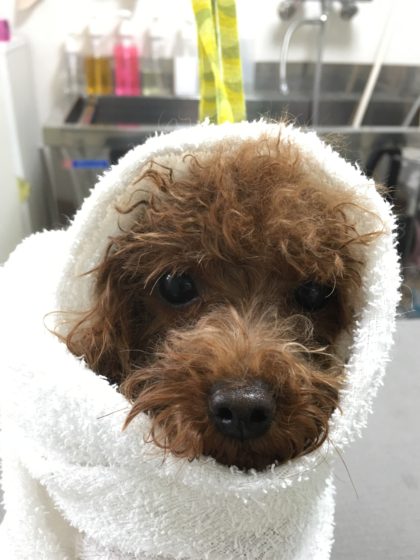 Processed with MOLDIV