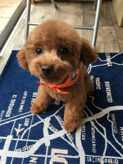 Processed with MOLDIV