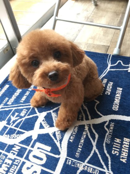 Processed with MOLDIV