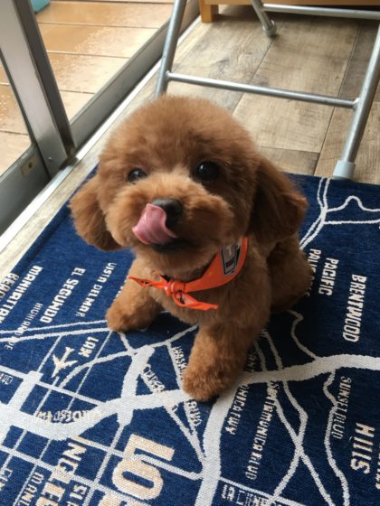 Processed with MOLDIV