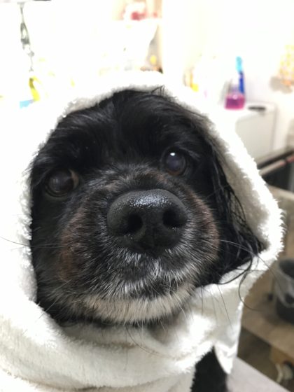 Processed with MOLDIV