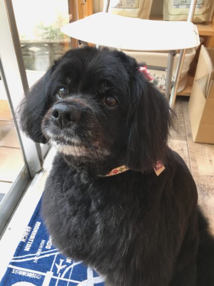 Processed with MOLDIV